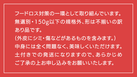 【 訳あり 】 八千代町産 熟成 小芋 シルクスイート 生芋 土付き 10kg さつまいも サツマイモ 芋 イモ ふるさと納税 6000円 訳アリ [AX055ya]