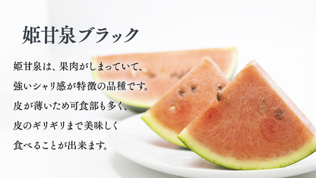 スイカ 小玉スイカ 姫甘泉ブラック 1箱  2玉 2026年