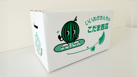 スイカ 小玉スイカ 姫甘泉ブラック 1箱  2玉 2026年