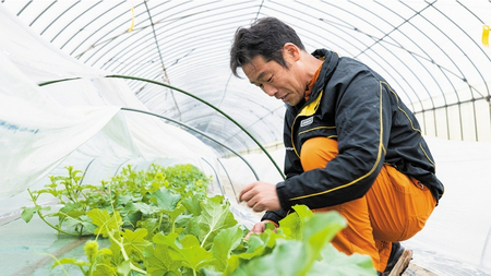 メロン タカミメロン 秀品 1箱 2玉 八千代町産 先行予約