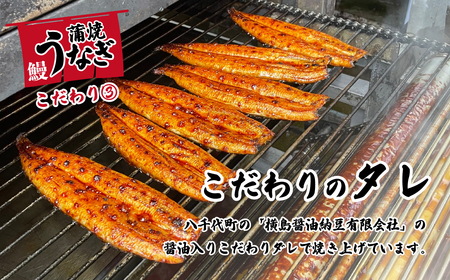 特上 国産うなぎ 蒲焼 2尾セット 【合計550g以上】 タレ・山椒付 ウナギ 鰻 うな重 ひつまぶし 人気 茨城 八千代町 ふるさと納税 冷凍 [SF049ya]