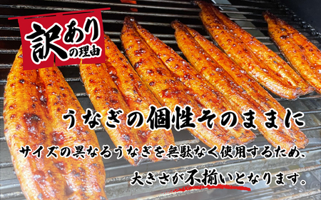 うなぎ 国産 訳あり ウなぎ 蒲焼き 5尾 640g 化粧箱