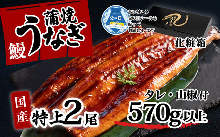 うなぎ 国産 特上 ウなぎ 蒲焼き 2尾 570g以上 ウナギ 化粧箱 父の日