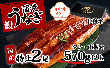 うなぎ 国産 特上 ウなぎ 蒲焼き 2尾 570g以上 ウナギ 化粧箱 お中元