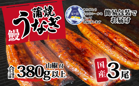 父の日 簡易包装 国産 うなぎ蒲焼 3尾 父の日 父の日 父の日 父の日 父の日 父の日 父の日  父の日 父の日  父の日