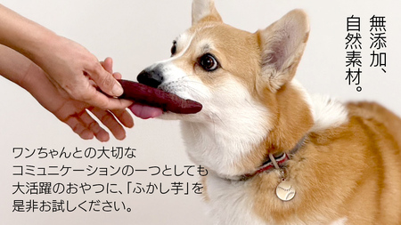 【6ヶ月定期便】動物 ペットおやつ ペット用 ふかし芋 小芋 紅はるか 芋 いも おやつ 動物 ペットフード 犬 猫 間食 ヘルシー オヤツ 2kg [AU122ya]