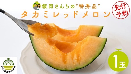 タカミレッドメロン 特秀品 1玉 糖度 16度以上 光センサー 厳選 プレミアム【 先行予約 】