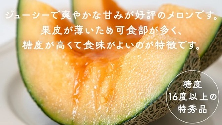 タカミレッドメロン 特秀品 1玉 糖度 16度以上 光センサー 厳選 プレミアム【 先行予約 】