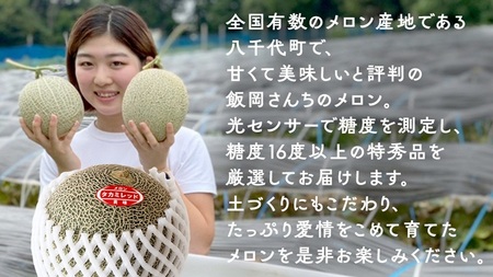 タカミレッドメロン 特秀品 1玉 糖度 16度以上 光センサー 厳選 プレミアム【 先行予約 】