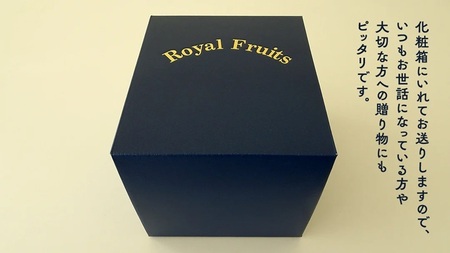 タカミレッドメロン 特秀品 1玉 糖度 16度以上 光センサー 厳選 プレミアム【 先行予約 】