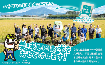 令和6年産 にじのきらめき スピード発送 米 お米 20kg (5kgx4袋) 令和6年産 令和6年産 令和6年産