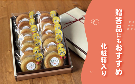 とうふやたかはし 日本一のおからドーナツ【10個セット】 [DE002ya]