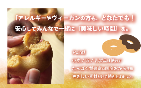 とうふやたかはし おからドーナツ（抹茶ちょこ味）【10個セット】 [DE004ya]