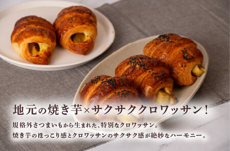 焼き芋クロワッサン 6個 さつまいも サツマイモ クロワッサン