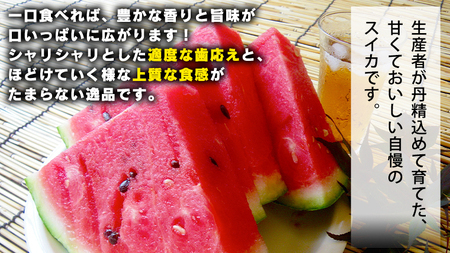 スイカ 大玉スイカ 祭ばやし777 2玉 2026年