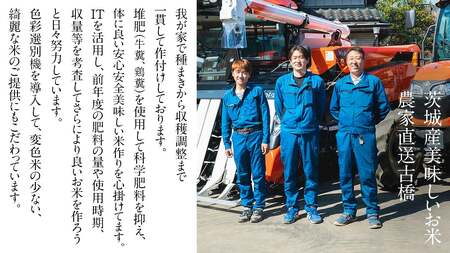 令和7年産 茨城県産 新米 にじのきらめき 10kg 玄米