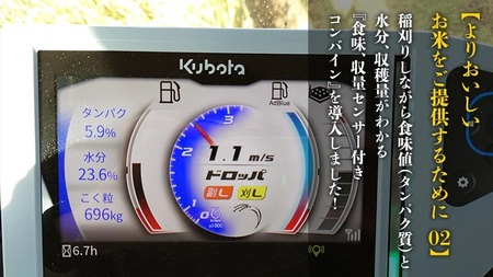 令和7年産 茨城県産 お米 にじのきらめき 10kg 白米