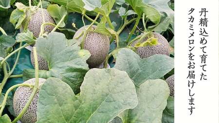 【訳あり】メロン タカミメロン 秀品 3-5玉 約5.5kg 八千代町産 先行予約