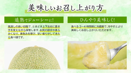 【訳あり】メロン タカミメロン 秀品 3-5玉 約5.5kg 八千代町産 先行予約