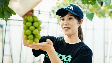 8月下旬発送 八千代町産 シャインマスカット 約1kg ブドウ 先行受付