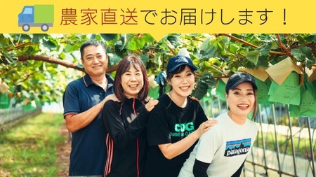 8月下旬発送 八千代町産 シャインマスカット 約1kg ブドウ 先行受付