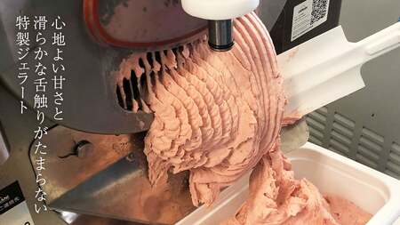 【お中元熨斗付き】 ジェラート 12個セット 食べ比べ 大地の恵み アイス