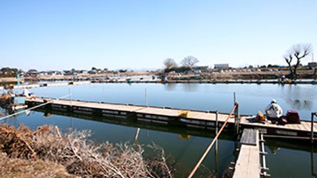 筑波流源湖　ヘラブナ釣り回数券（10枚綴り）　[AZ001ya]