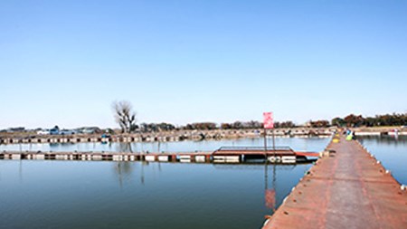 筑波流源湖ヘラブナ釣り回数券（５枚綴り）　[AZ003ya]