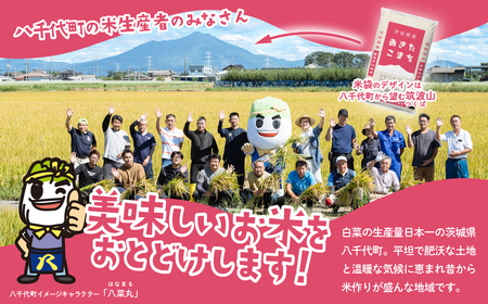 [4]米 新米 20kg 令和7年産 あきたこまち スピード発送 20kg