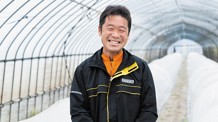 スイカ 小玉スイカ 姫甘泉 1箱 3〜6玉入り