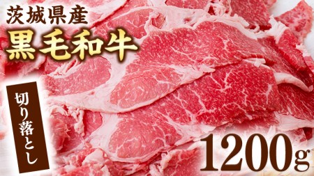 茨城県産 黒毛和牛 切り落とし 1200g [AI012ya]