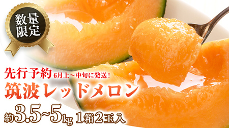 メロン 筑波レッドメロン 1箱 2玉 約3.5~5kg 八千代町産 先行予約
