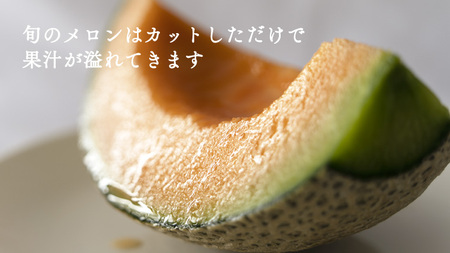 メロン 筑波レッドメロン 1箱 2玉 約3.5~5kg 八千代町産 先行予約