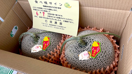 メロン 筑波レッドメロン 1箱 2玉 約3.5~5kg 八千代町産 先行予約