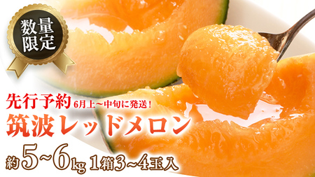 メロン 筑波レッドメロン 1箱 3玉~4玉  約5~6kg 八千代町産 先行予約