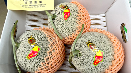 メロン 筑波レッドメロン 1箱 3玉~4玉  約5~6kg 八千代町産 先行予約