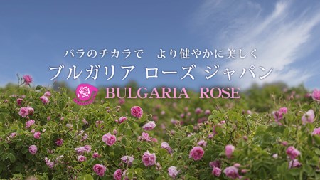BULGARIA ROSE ダマスク ローズ ウォーター 200ml ダマスクローズ ローズウォーター 母の日 美容 スキンケア コスメ 化粧水 バラ 保湿 肌 ふるさと納税 [BX006ya]