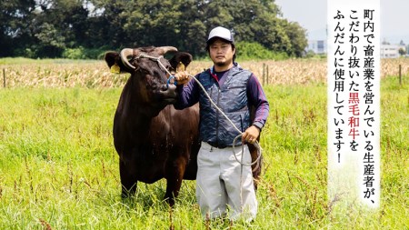 【八千代町産和牛と野菜使用】【黒毛和牛ビーフカレー】 298（にくや） カレー （200g×10袋） レトルト ビーフ 和牛 ひとり暮らし インスタント お取り寄せ 惣菜 グルメ [CA003ya]
