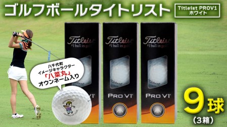 2023年モデル ＞ ゴルフボール タイトリスト Titleist PROV1 ホワイト