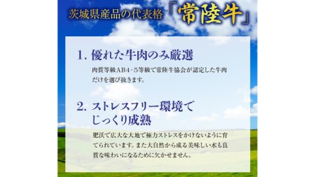 【茨城県共通返礼品／行方市】 美明豚 × 常陸牛 最高のステーキセット 約1,350g 豚肉 牛肉 豚 牛 ひたち牛 SPF ブランド牛 ブランド豚 詰め合わせ 食べ比べ セット 贈答用 国産 黒毛和牛 最高級 サーロイン ロース [CF005ya]