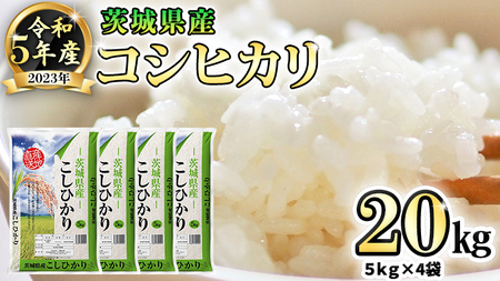 令和5年産 新米 茨城県産 コシヒカリ ( 精米 ) 20kg ( 5kg × 4袋 ) 米