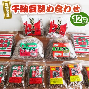 え-9 茨城名産 干納豆詰め合わせ (12袋)
