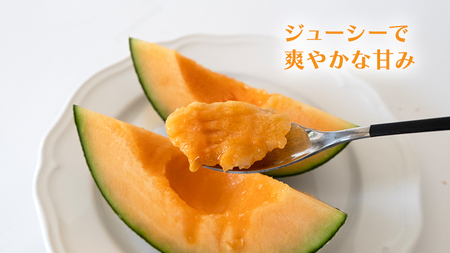 メロン タカミレッドメロン 1箱 3玉～5玉  2026年発送 先行受付