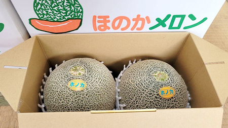 メロン ほのかメロン 秀品 赤肉 2玉 八千代町産 先行予約