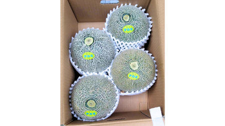 先行予約 タカミ メロン 秀品 1箱 3～4玉入り 【 6月中旬 以降発送】 期間限定 産地直送 果物 フルーツ メロン 青肉 甘い [AV008ya]