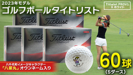 2023年9月30日まで 】 ゴルフボール タイトリスト PROV1X ホワイト 5