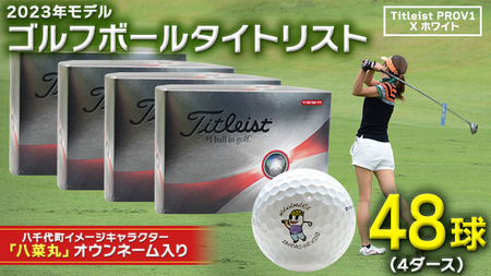 ☆新品☆タイトリスト PRO V1 2023年モデル48個 4ダース - その他