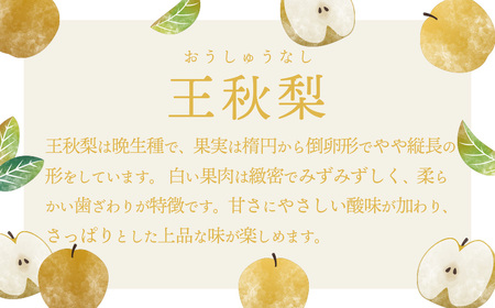 王秋梨 約3kg 10月上旬発送  梨 先行受付