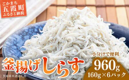 釜揚げしらす 6パック ( 160g × 6パック ) 約 1キロ（茨城県共通返礼品・大洗町産）／ しらす 釜揚げしらす 小分け 便利 とろける 食感 新鮮 冷凍 茨城県