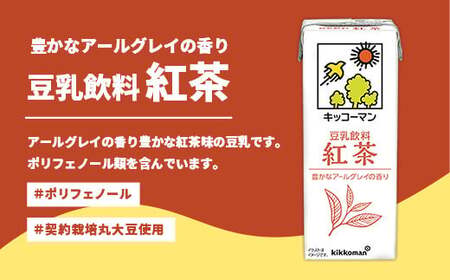 豆乳 豆乳飲料 紅茶 1000ml×18本 【定期便3回】 キッコーマン  【価格改定XA】